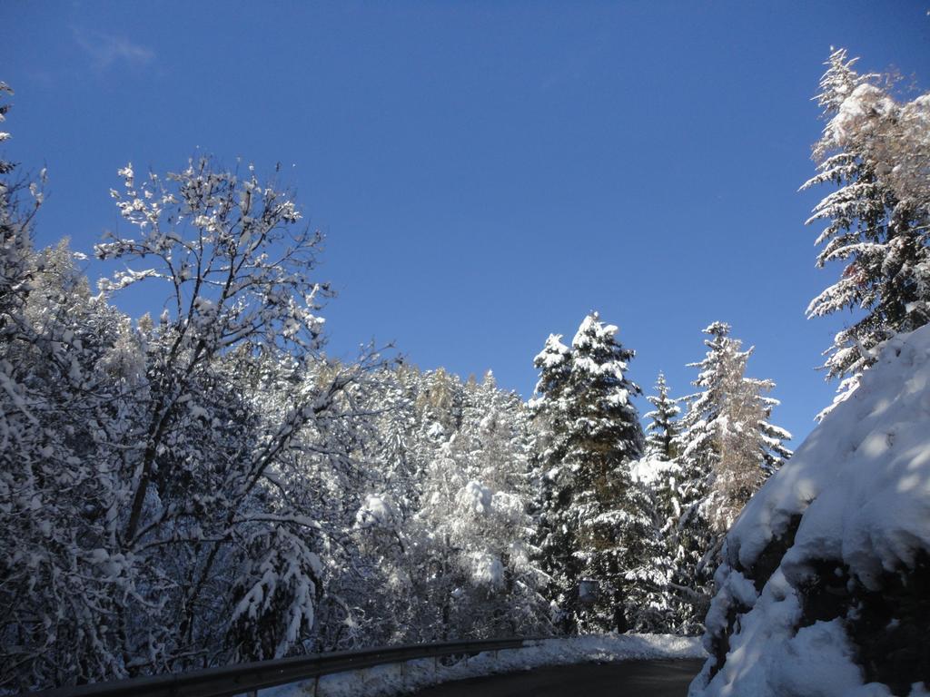 B&B Eischoll Buitenkant foto